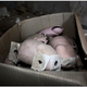 Illustration for article titled These Abandoned Toy Factories and Shops Will Haunt Your Nightmares